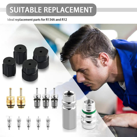 Seventeen Piece Car Air Conditioning Valve Core Tool Kit Portable Set With Cores, Ports, And Caps For R134A And R12 Systems
