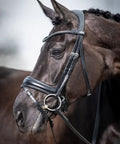 Kudos Classic Dressage Bridle In Black Full Size With Detachable Clincher Browband on horse's head, focus on noseband