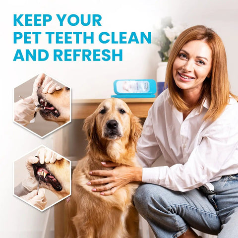 Woman with dog using At Home Plaque Remover Kit with Stainless Steel Dental Tools for deep clean, clinic grade quality
