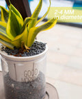 Potted plant with 18lb Black Cactus Pea Gravel Rocks 1 Quarter Inch Pebbles for Indoor Plants and Succulents, used as top dressing