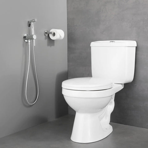 Stainless Steel Handheld Bidet Sprayer For Toilet With Warm Water, Brass Hot And Cold Mixing Valve beside white toilet
