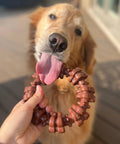 Textured Ring Power Chew Toy For Extra Large Dogs 50 Plus Lbs Durable Ring Shaped Chew Toy Built For Tough Chewers With Raised Surfaces That Clean Teeth And Massage Gums, brown ring chew toy held by hand for a golden retriever
