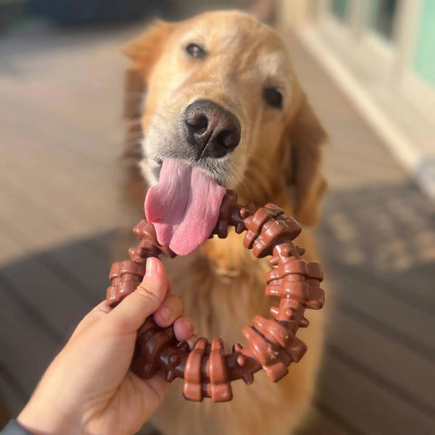 Textured Ring Power Chew Toy For Extra Large Dogs 50 Plus Lbs Durable Ring Shaped Chew Toy Built For Tough Chewers With Raised Surfaces That Clean Teeth And Massage Gums, brown ring chew toy held by hand for a golden retriever