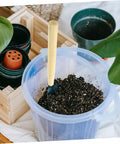 Wooden Garden Tool Handles Pack Of Five For Weeding And Mowing shown inside soil-filled bucket indoors with plant pots nearby