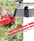 Berry Picker Kit With Metallic Comb And Ergonomic Handle For Easy Hassle Free Harvesting Of Berries Without Crushing Them Or Snags Keeps Hands Safe From Thorns Eco Friendly Garden Tool For Fresh Picks, red berry picker in use