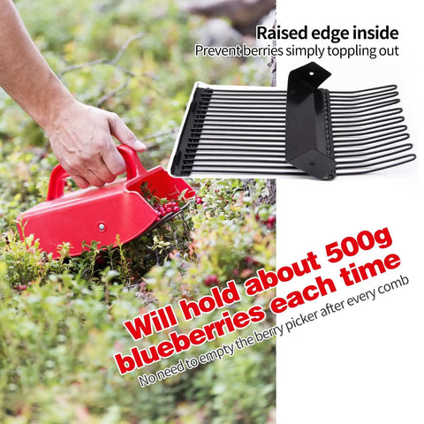 Berry Picker Kit With Metallic Comb And Ergonomic Handle For Easy Hassle Free Harvesting Of Berries Without Crushing Them Or Snags Keeps Hands Safe From Thorns Eco Friendly Garden Tool For Fresh Picks, red berry picker in use