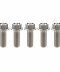 Beast Titanium Flanged Hex Head Bolt M6 x 1.0 x 12mm, 6AL4V Aerospace Grade Ti Fastener, Rust-Resistant And Ultra Lightweight, Pack Of 5
