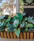 Three Pack 30 Inch Coco Liners For Planters Pre Formed Coir Liners Fit Window Boxes Fence Baskets And Garden Pots Durable