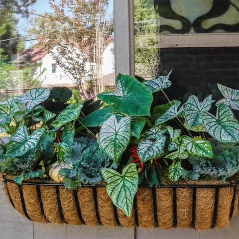 Three Pack 30 Inch Coco Liners For Planters Pre Formed Coir Liners Fit Window Boxes Fence Baskets And Garden Pots Durable