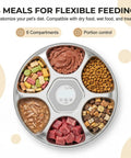 Set It And Forget It Automatic Wet Food Feeder For Cats With Rust Proof Stainless Steel Tray visible with 6 food compartments.