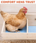 Hen sitting on a washable chicken nesting pad for laying eggs reusable durable nest box cushions for chicken coops gray 4 pack.