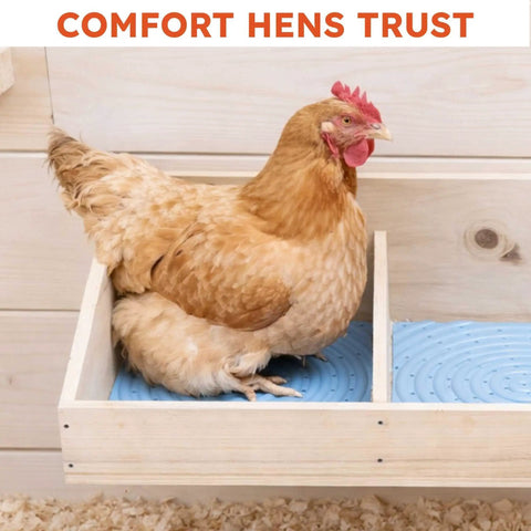 Hen sitting on a washable chicken nesting pad for laying eggs reusable durable nest box cushions for chicken coops gray 4 pack.
