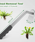 Ultra Durable Manganese Steel Weed Puller Tool With Five Tine Head for removing dandelion and crabgrass, dimensions labeled