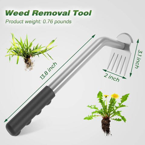 Ultra Durable Manganese Steel Weed Puller Tool With Five Tine Head for removing dandelion and crabgrass, dimensions labeled