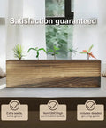 Five Pack Bonsai Tree Kit With Full Tools And Seed Packets Indoor Starter Kit In Wooden Box Easy Grow For Beginners Display