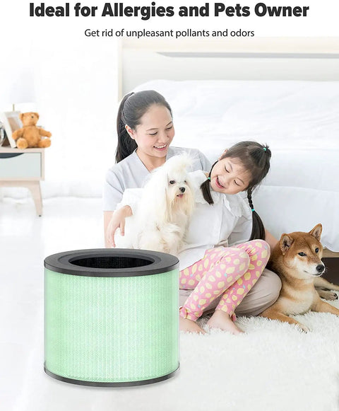 TR-8080 Air Purifier Replacement Filter 4 in 1 Filtration System with family and pets in living room
