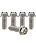Beast Titanium Flanged Hex Head Bolt M6 x 1.0 x 12mm, 6AL4V Aerospace Grade Ti Fastener, pack of 5 displayed upright and angled