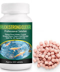 Pro Pond Muck Reducer For Fish Ponds Baths And Fountains No Fuss Easy And Efficient Deep Clean With 500 Tablets 500g bottle