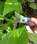 7 Inch Bypass Pruners For Precise Smooth Cuts With Easy Grip And One Hand Locking trimming plant stem