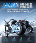 Blazing Fast 4000 Watt Electric Bike With 60 Volt Battery And Badass Removable Sidecar For Kids Or Pets showcasing 2000W brushless motor.