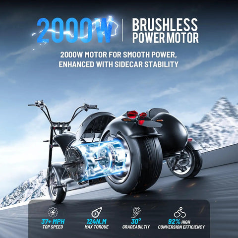 Blazing Fast 4000 Watt Electric Bike With 60 Volt Battery And Badass Removable Sidecar For Kids Or Pets showcasing 2000W brushless motor.