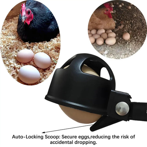 Egg Grabber Reacher Tool For Easy Egg Collecting From The Chicken Coop, Telescoping Extender Reacher Grabber For Clean Hands And Quick Pickup, Farm And Poultry Nest Accessory, Perfect Homesteading Essential