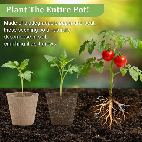 3.15 Inch Biodegradable Peat Pots 100 Count With 5 20 Cell Seedling Trays And Drainage Propagation Kit For Home Grow Seed Starting And Easy Garden Propagation