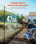 Electric Fence Netting 50 Inch High And 164 Feet Long With Posts And Stakes in use with dog, voltage shown 47mA