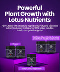 Three Part Plant Nutrient Starter Kit with Grow Bloom and Boost powders in jars for hydroponics coco coir and soil use.