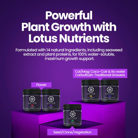 Three Part Plant Nutrient Starter Kit with Grow Bloom and Boost powders in jars for hydroponics coco coir and soil use.