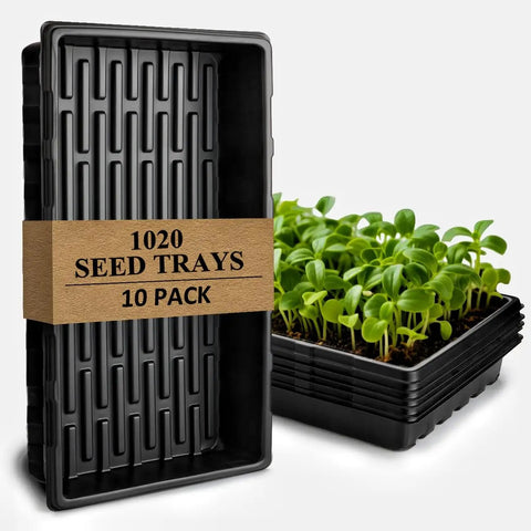 Ten Pack Heavy Duty 1020 Seed Trays Set Extra Thick Plastic Flats with microgreens, showing durability and stackable design.