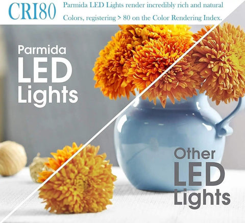 3UOOWWFA Led R Recessed Downlight Living Room Recessed Ceiling Light Attic Porch Lighting Built-in Spotlight CRI80 flowers in vase