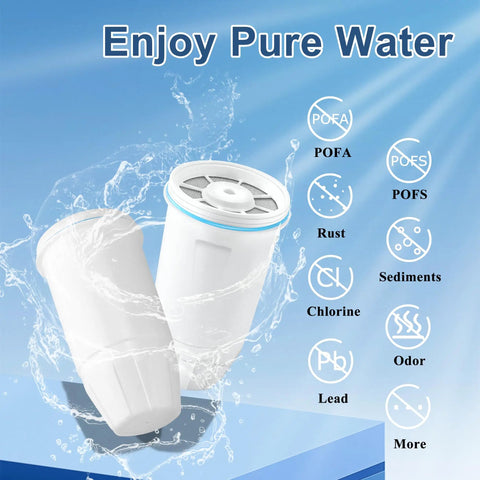 Product image of Water Filter Replacement for Z Ero Water Pitchers and Dispenser Pack of 2 With Easy Install 0 TDS Premium Filtration showing water filters with contaminants list.