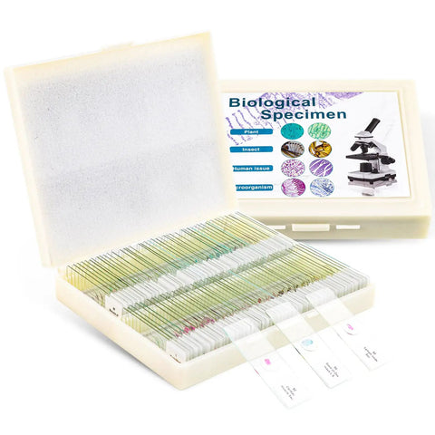 100 Prepared Microscope Slides With Specimens For Kids And Adults Bacteria Fungus Human Tissues Mitosis Plants Insects And Animal Cells For A Hands On Biology Lab At School Science Class And Home Learning, displayed in a plastic storage case.