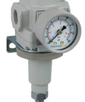 SAR400T-N04BG 1/2 Inch NPT Compressed Air Regulator With T Handle, Gauge And Bracket