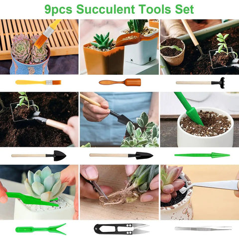9pcs Succulent Tools Set displayed with small gardening tools and succulents being potted and maintained, close-up views included.