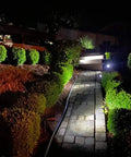 Outdoor Solar Lights 2 In 1 Waterproof Spotlights illuminating garden pathway at night, showing cool white brightness and landscape detail.