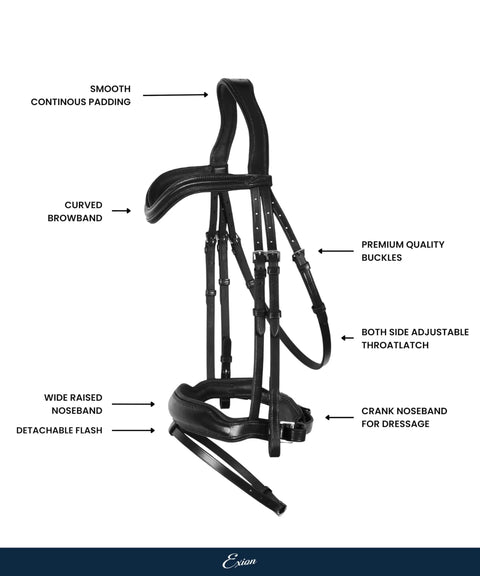 Classic Dressage Bridle With Flash For English Riding, Vegetable Tanned Leather, Padded Crank Noseband, ergonomic design
