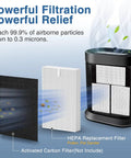 Six Pack HEPA Air Purifier Filter Replacement R Style For HPA100 HPA200 HPA300 And 5000 Series Purifiers, filter diagram