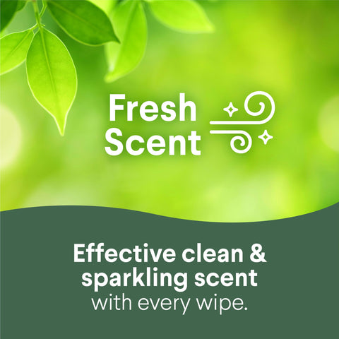 Allergy Season Disinfecting Wipes Bleach Free Multi Surface Cleaner Antibacterial Fresh Scent Crisp Lemon 75 Count Each Pack Of 3 Kills 99.9 Percent Of Viruses And Bacteria Including COVID 19 For Quick Easy Cleanups text Fresh Scent