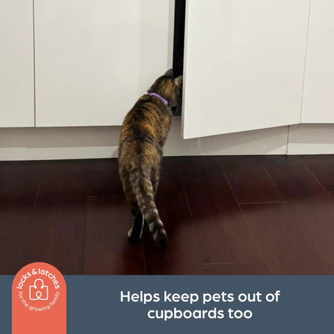 Cat attempting to enter cabinet, showing Sliding Cabinet Locks 3 Pack White For Kid Safe Latches Easy Install Childproof Locks in use.