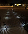 Sweet 6 Pack Silver Solar Path Lights With Glass Lens And Metal Ground Stakes, Extra Bright LEDs illuminating walkway