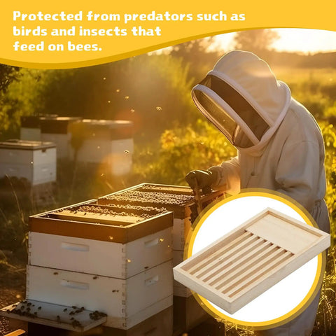 Beekeeper inspecting hive with Two Pack 8 Frame Slatted Beehive Rack for Beekeepers highlighted; sunset background.