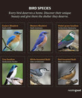 Image showing bird species: Eastern Bluebird, Western Bluebird, Violet-green Swallow, Tree Swallow, White-breasted Nuthatch, Red-breasted Nuthatch.