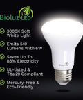 4 Pack BR20 LED Bulbs 3000K Soft White 6W Equal 50W, 540 Lumens, 90 CRI, Dimmable Flood Light Bulbs For Indoor Outdoor Use, bulb image