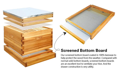 Two Pack Beehive Screened Bottom Boards for Langstroth Hives 10 Frame, Beeswax Dipped Cedar Wood with Entrance Reducer