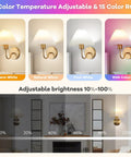 Two Pack Battery Operated Wall Sconces With Pleated Shades, USB Rechargeable Gooseneck Gold Finish Vanity Lights, color modes shown
