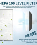 HEPA 100 level filter showing high efficiency, size 20 x 11 inches, purifying air to 99.99% particle removal.