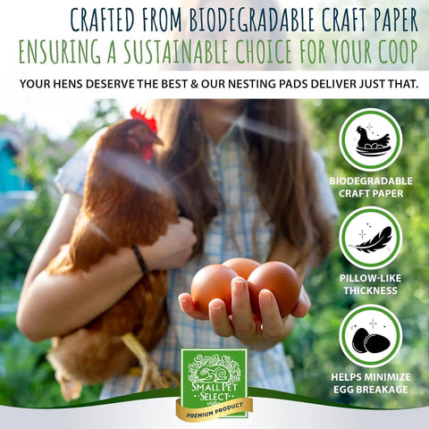 Woman holding chicken and eggs, promoting Cozy Egg Nesting Pads For Hens, 8 Pack, 13x13 Inches, biodegradable aspen cushions.