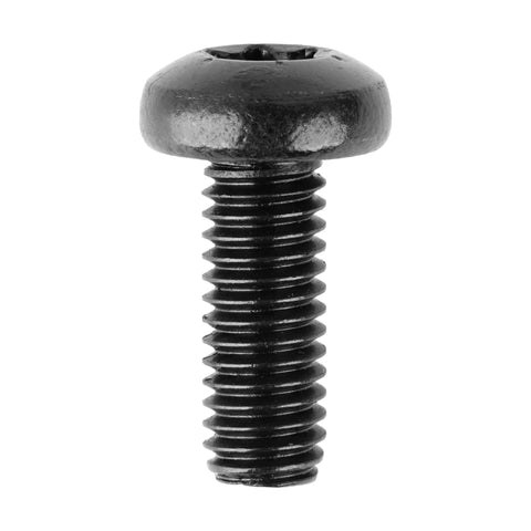 Heavy Duty Straight Up Black Stainless License Plate Screws With Rock Solid Security T30 Torx Design for vehicles, shown upright.